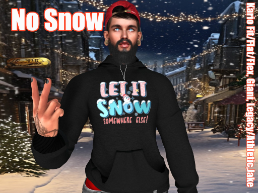 ~Z~ No Snow (please add)