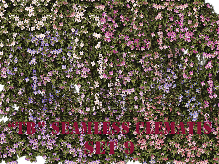 Twice Baked horizontal seamless clematis set 9