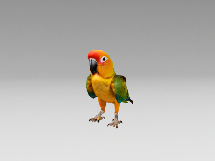 [NL] Parrot Mesh