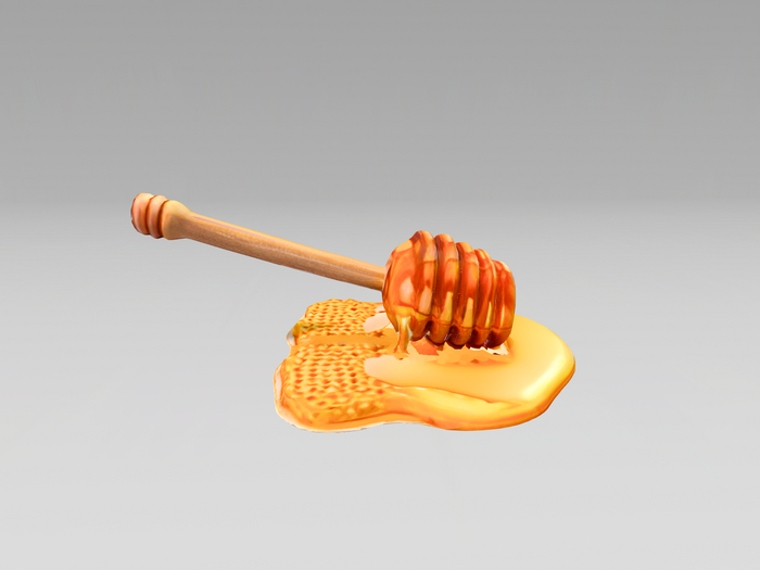 [NL] Honey With Drizzler Mesh