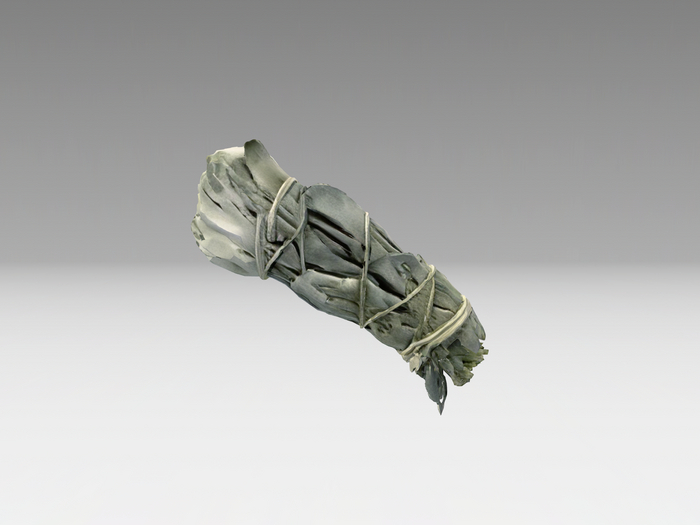 [NL] Bundle Of Sage Mesh