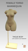 ISO_FEMALE_TorsoMannequin_Thique (No Transfer)