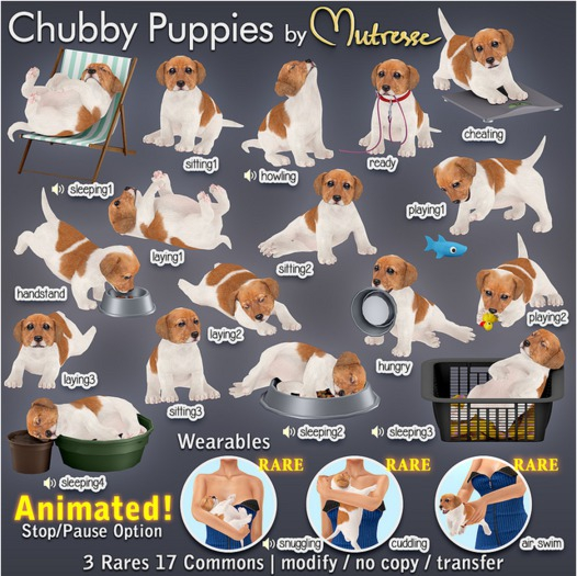 Mutresse-Playing2-Chubby Puppies
