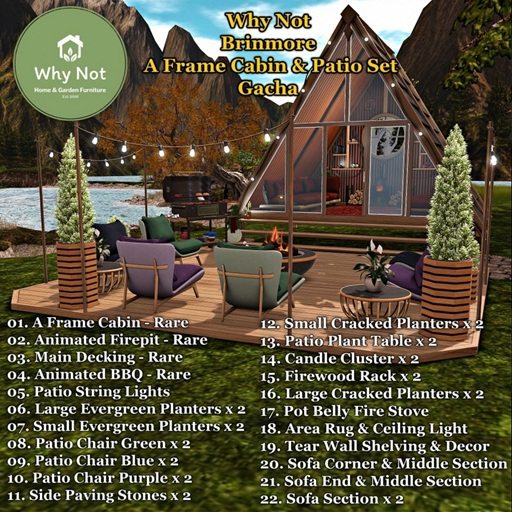 01.Why Not Brinmore A Frame Cabin RARE