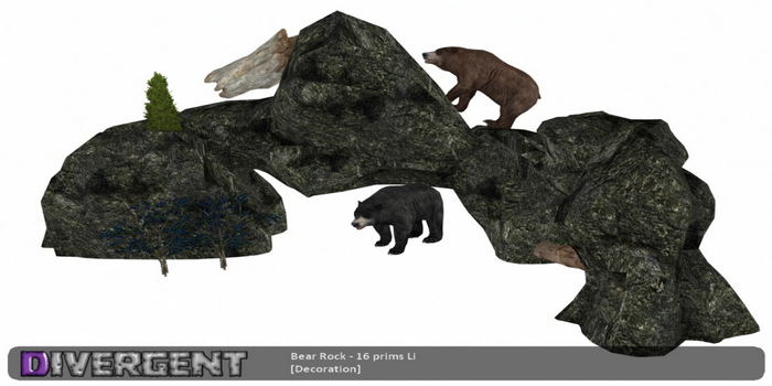 Bear Rock