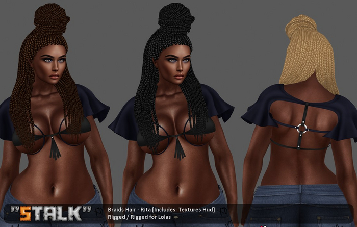 Braids Hair - Rita [DEMO]