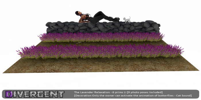 The Relaxation Lavender
