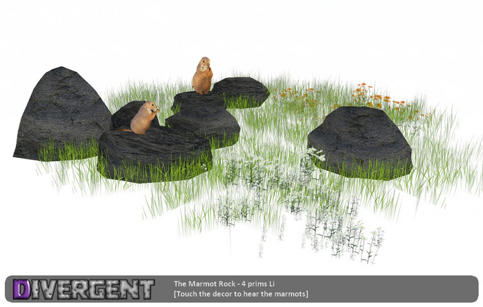 The Marmot Rock