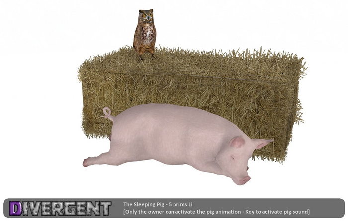 The Sleeping Pig