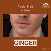 RAKE -Jake- Facial Hair Ginger EvoX
