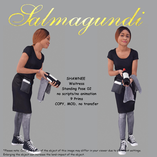 SHAWNEE - Waitress - Standing Pose 02