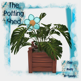 [TPS] Fun Philodendron Rusty