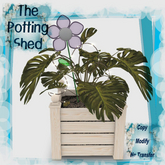 [TPS] Fun Philodendron Ochre