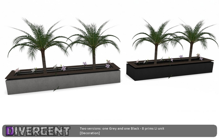 Planter & The Palm Tree