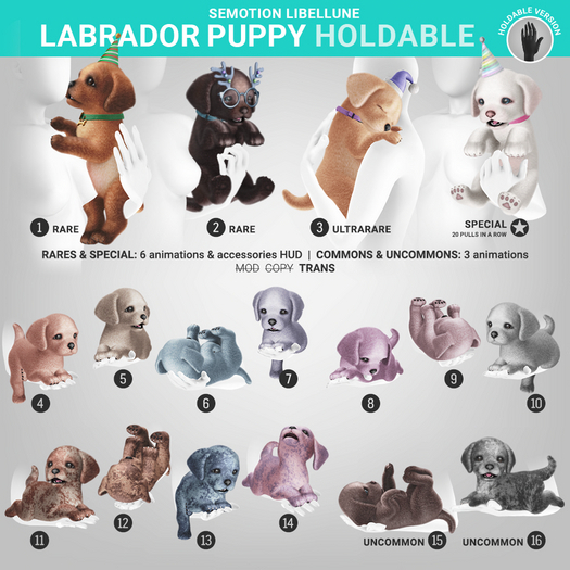 SEmotion Libellune Labrador Puppy Holdable COMMON 13