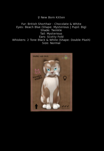 [Purrfect Shop] - KittyCatS New Born