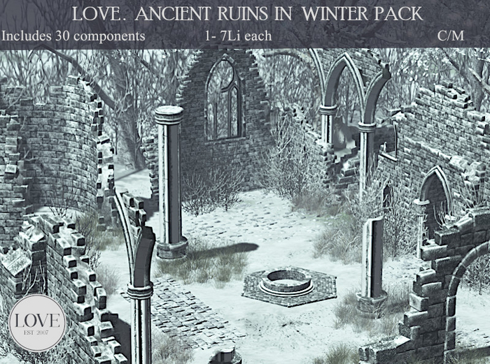 LOVE SUPERSTORE - ANCIENT RUINS IN WINTER 