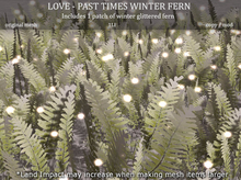 LOVE SUPERSTORE - PAST TIMES WINTER FERN 