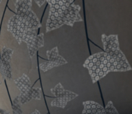 POTTED: Breedable CATAPLA ZEN Beautiful Ivy Plant Seed