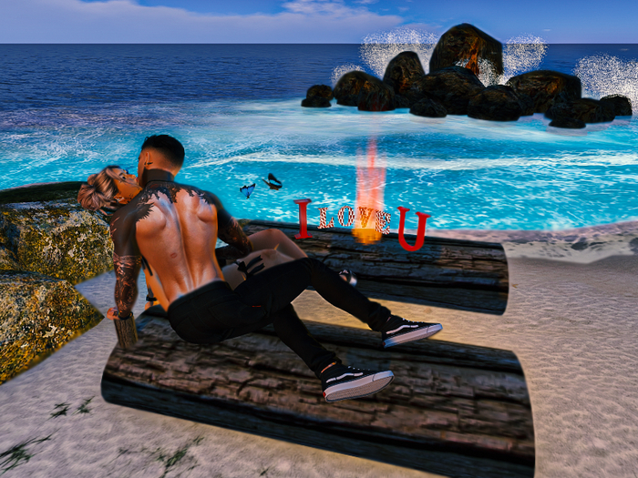 Romantic Love Log Pose Set v1