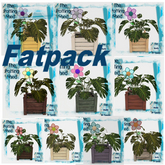 [TPS] Fun Philodendron Fatpack