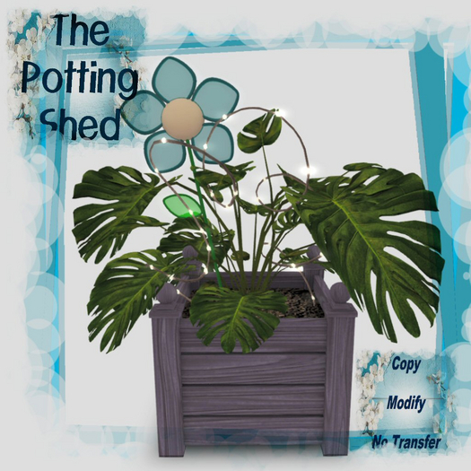 [TPS] Fun Philodendron Emile