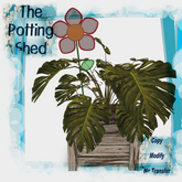 [TPS] Fun Philodendron Country Grey