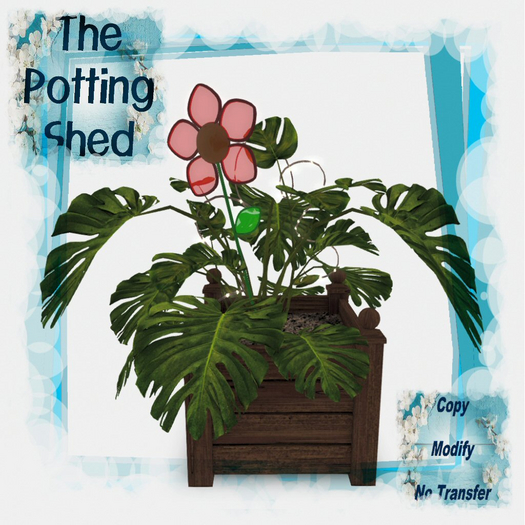 [TPS] Fun  Philodendron Hornfleur