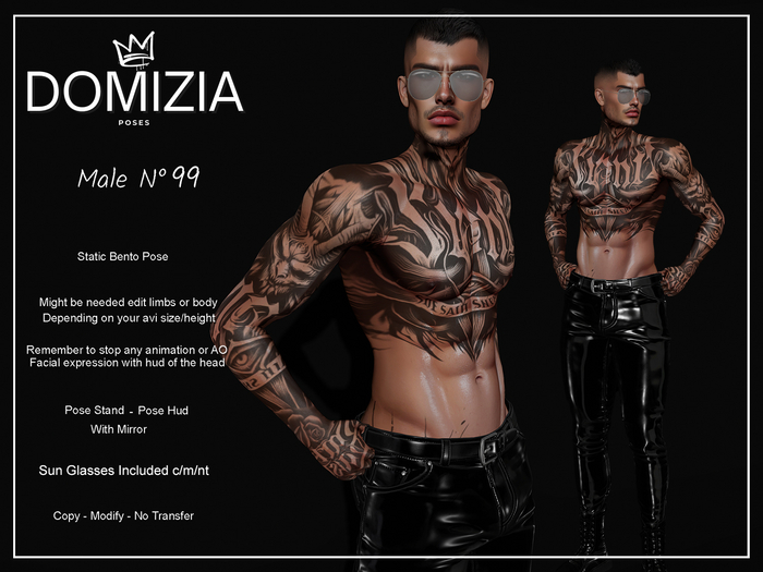 .::Domizia Poses::. - Male 99