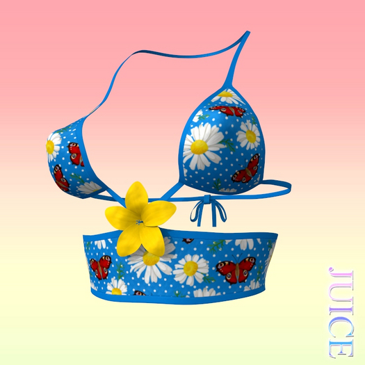 Flower Top PERKY