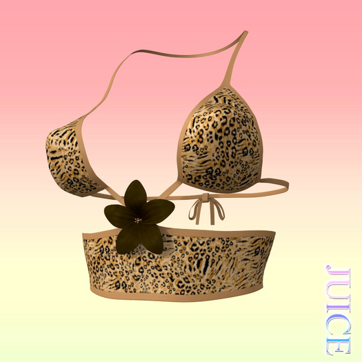 Flower Top PERKY
