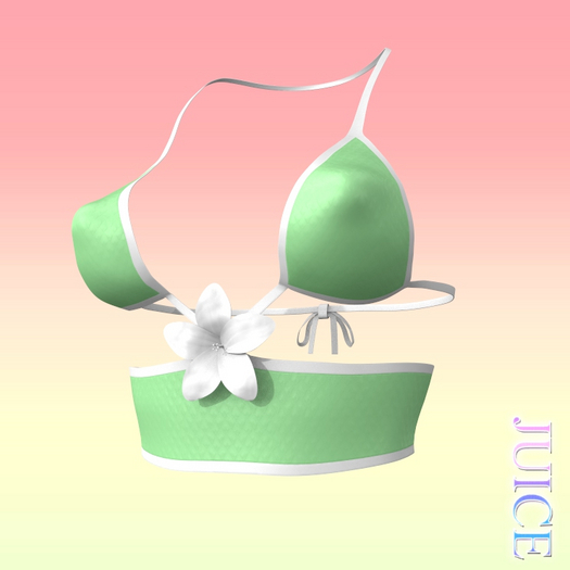 Flower Top PERKY