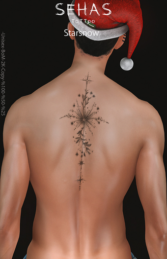 .::SEHAS::. TaTToo Starsnow