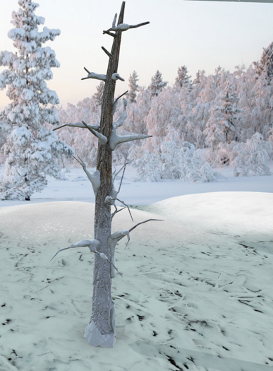 snowy bare tree (mod/trans) 3Li