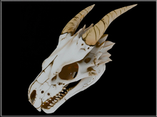 [Feliz] DRAGON SKULL 02 - Mesh - Full perm