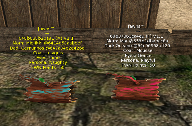 Fawns to born (1 breeding pair)