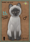 MEGAPUSS: KittyCatS Box - Genesis - Coco V - MegaPuss