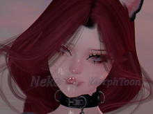 Neko Shape | Genus Morphtoon - VIDEO DEMONSTRATION