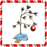 Tiny Christmas Tree Branch