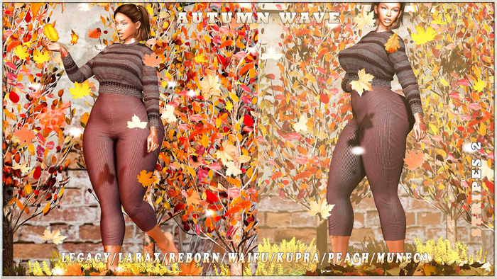 R2A -Autumn Wave Stripes2
