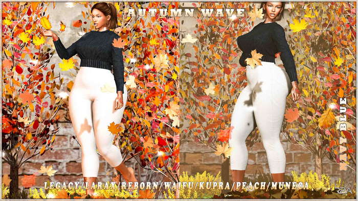 R2A -Autumn Wave Navy Blue