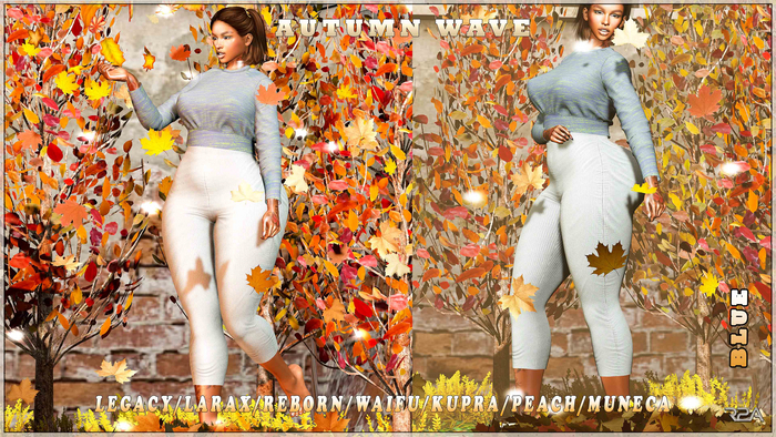 R2A -Autumn Wave Blue