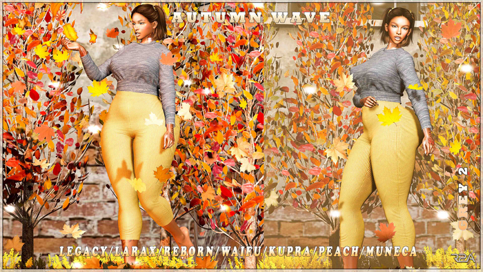 R2A -Autumn Wave Grey