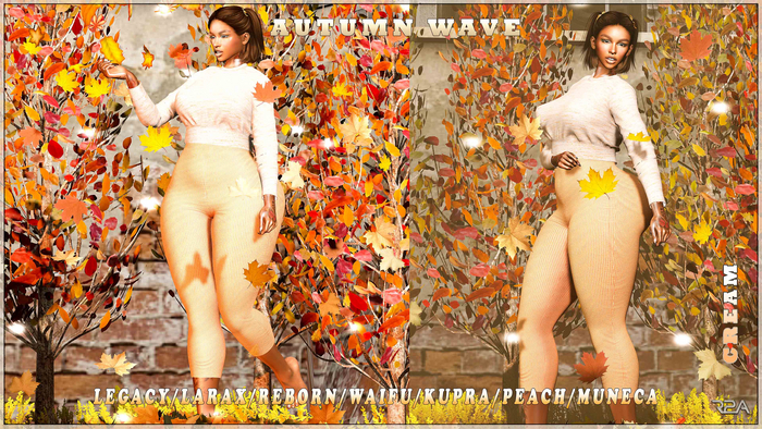 R2A -Autumn Wave Cream