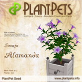 PlantPet Seed [Alamanda *Sonata*]