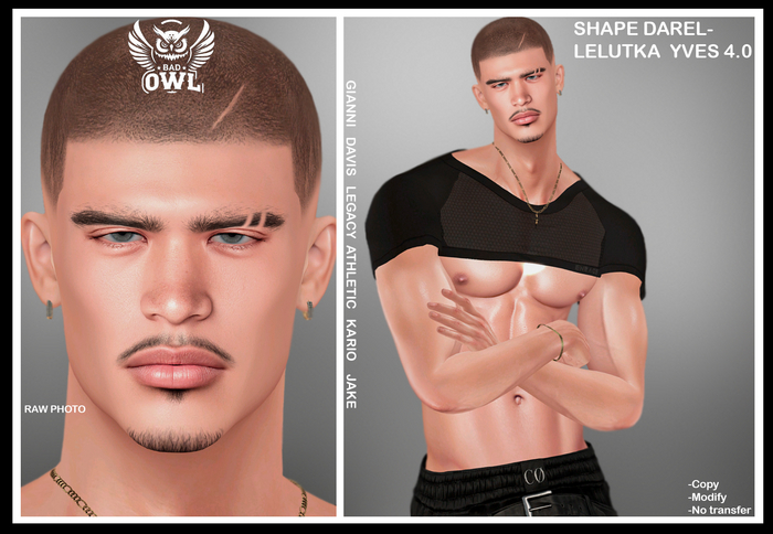 SHAPE DAREL-LELUTKA YVES 4.0