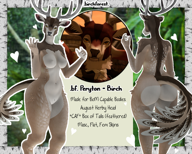 .bf. Peryton Mod [Birch]