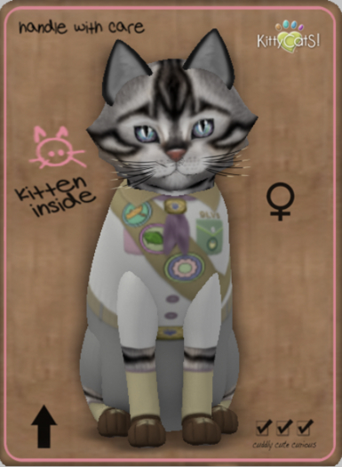 KittyCatS Box - KittyScoutS! - Posh Scout G