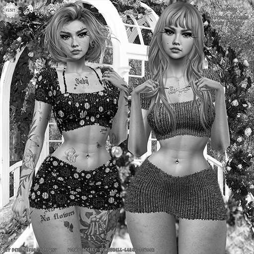 [FLIRT] Fay set -demo