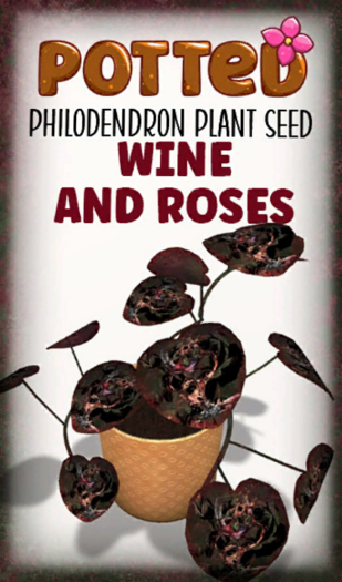 Potted: Philodendron Seed: Wine and Roses